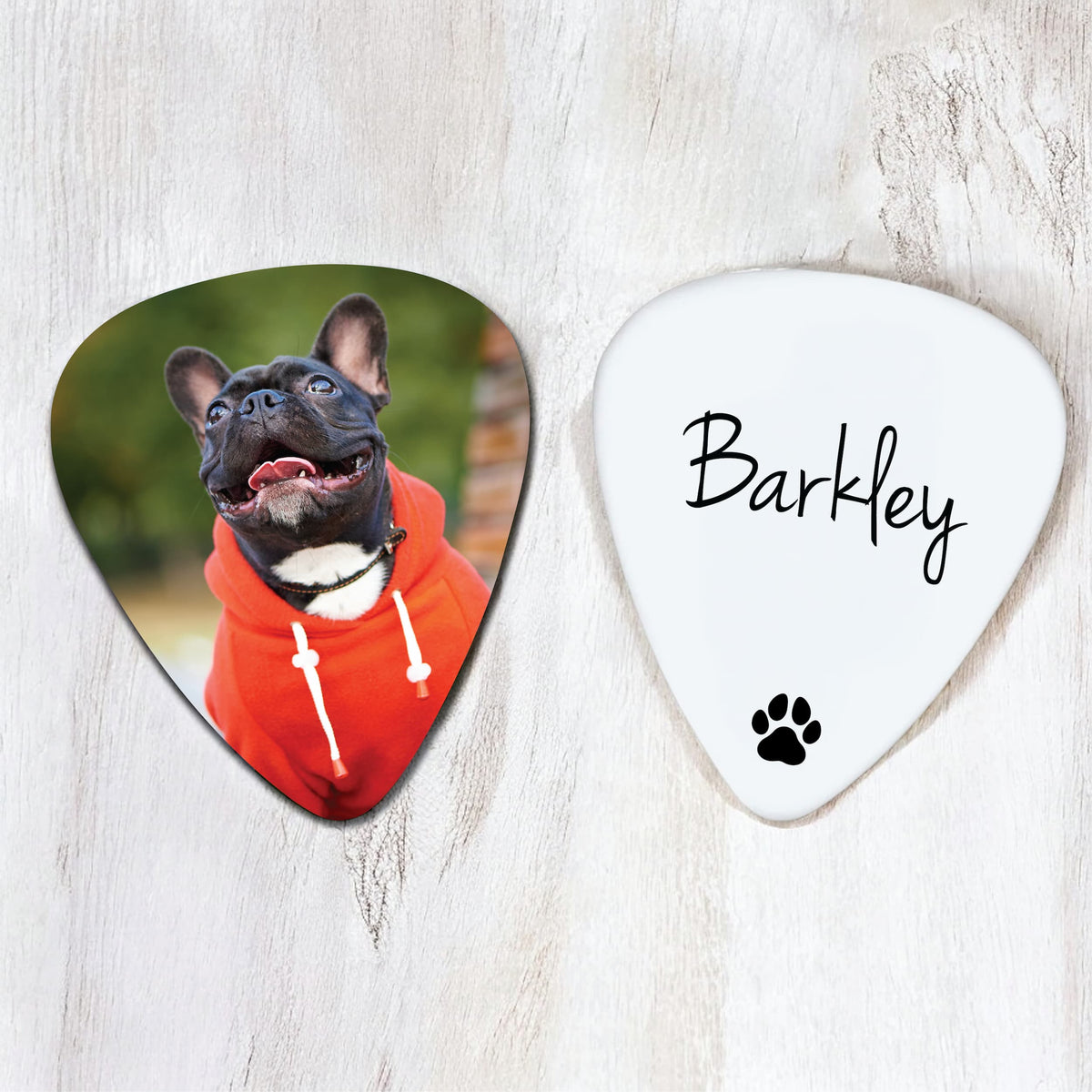Custom Printed Pet Guitar Pick