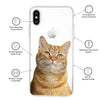 Cartoon Pet iPhone Case